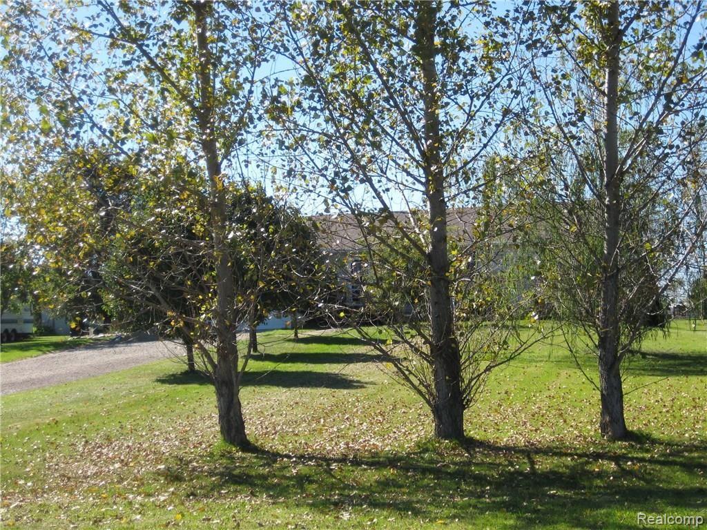 9415 North Robb Road Fowlerville, MI 48836 - Photo 31 of 31 IMG_1706.JPG