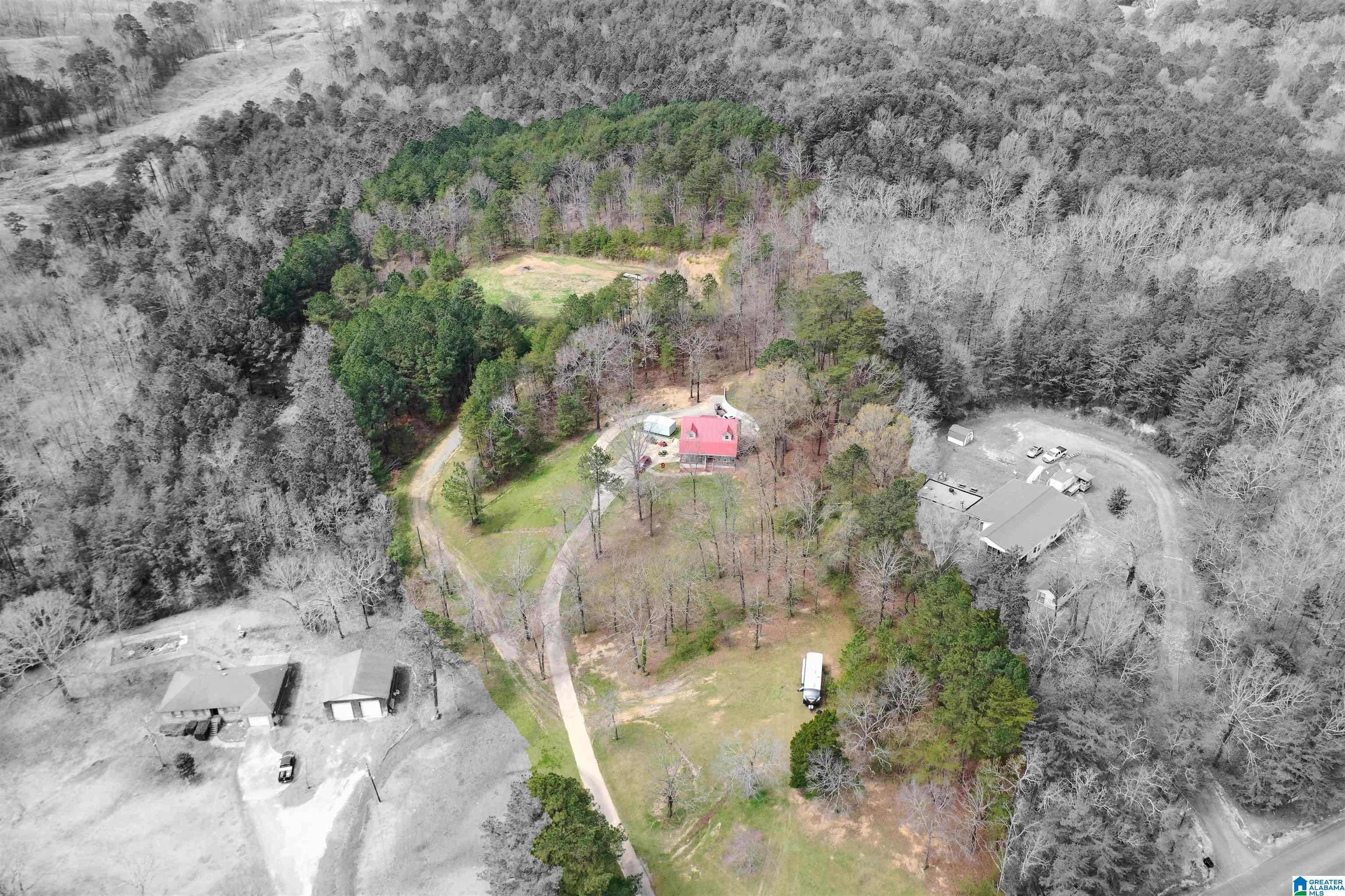 7180 Groundhog Road Morris, AL 35116 - Photo 25 of 38