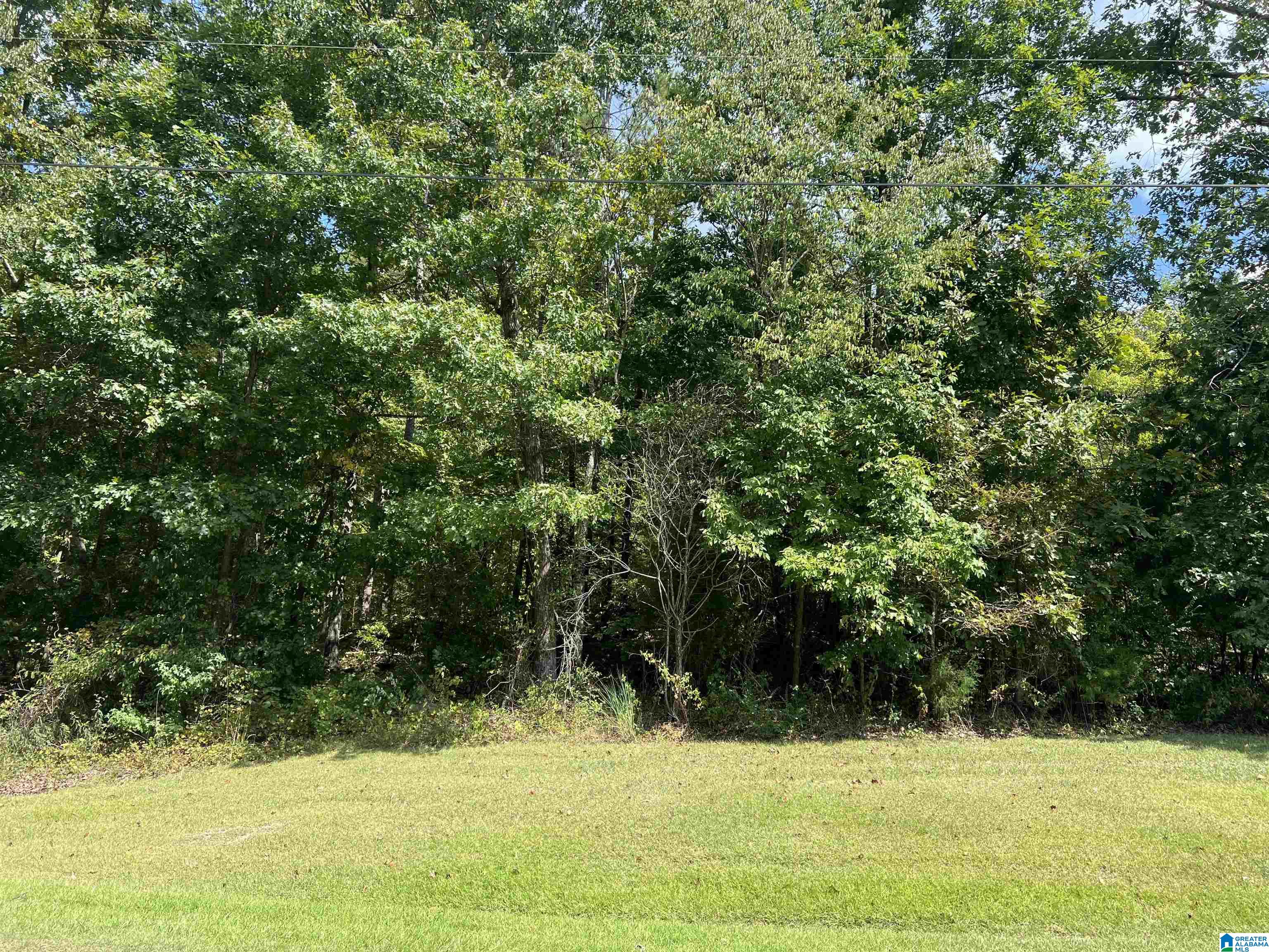 0 Taylor Road, Unit 10 2 Remlap, AL 35133 - Photo 12 of 25