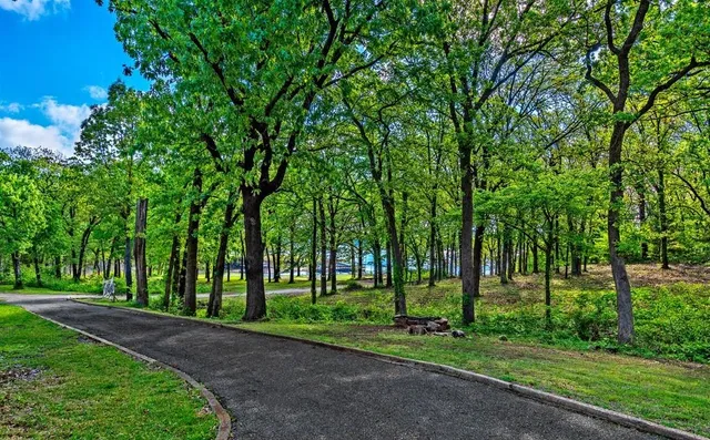 a view of a park with trees in the background