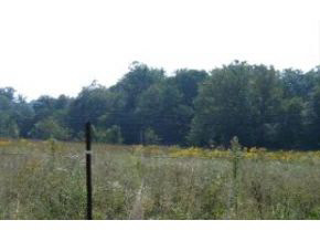 Old Patricsburg Road Spencer, IN 47460 - Photo 15 of 16