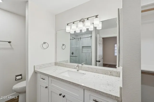 a bathroom with a granite countertop sink a toilet and shower