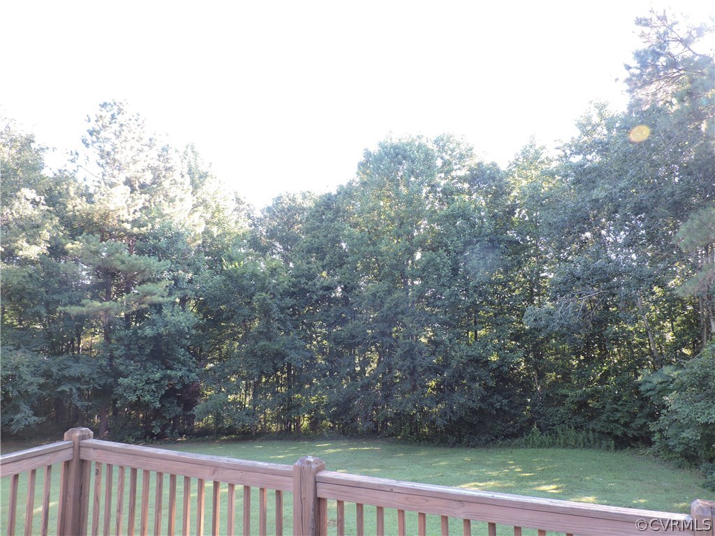 23640 Skinquarter Road Moseley, VA 23120 - Photo 34 of 34 Rear yard