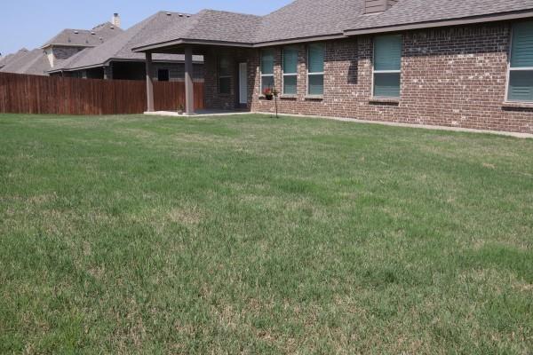 433 Garden Tree Trail Midlothian, TX 76065 - Photo 25 of 25 Large Backyard