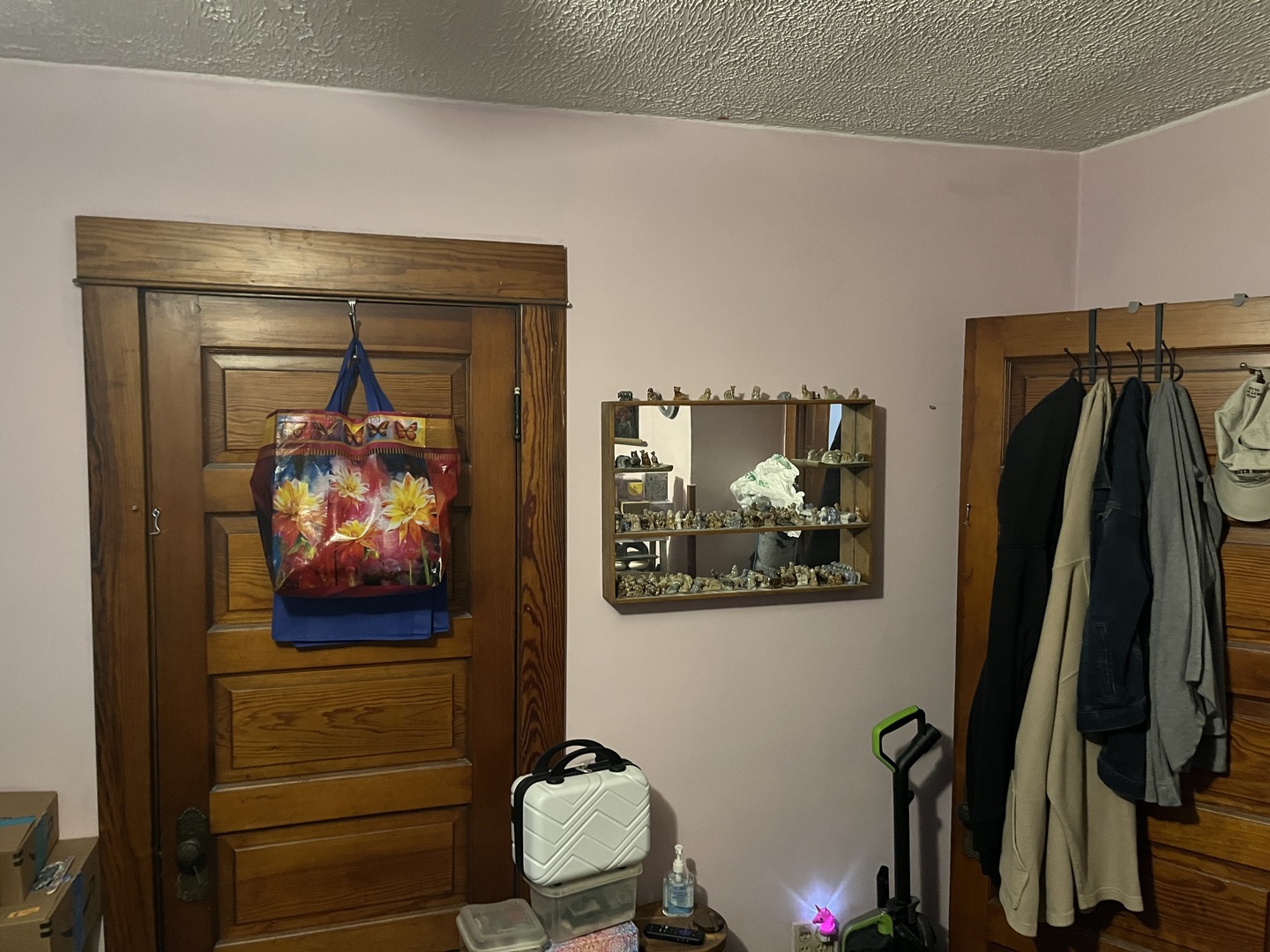 718 Plainfield Road Joliet, IL 60435 - Photo 19 of 28 a view of walk in closet