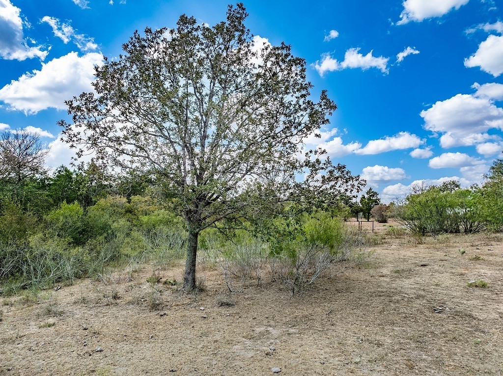 154 West Point West Point, TX 78963 - Photo 7 of 16