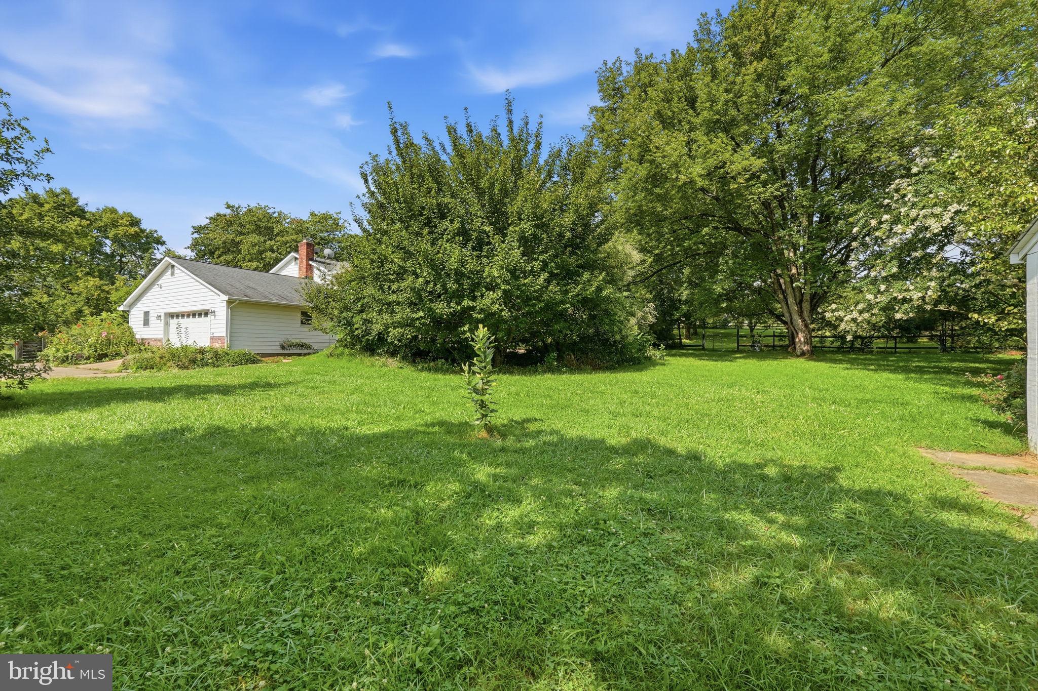 15010 Rolling Ridge Road Haymarket, VA 20169 - Photo 38 of 61 Lush green oasis with serene charm.