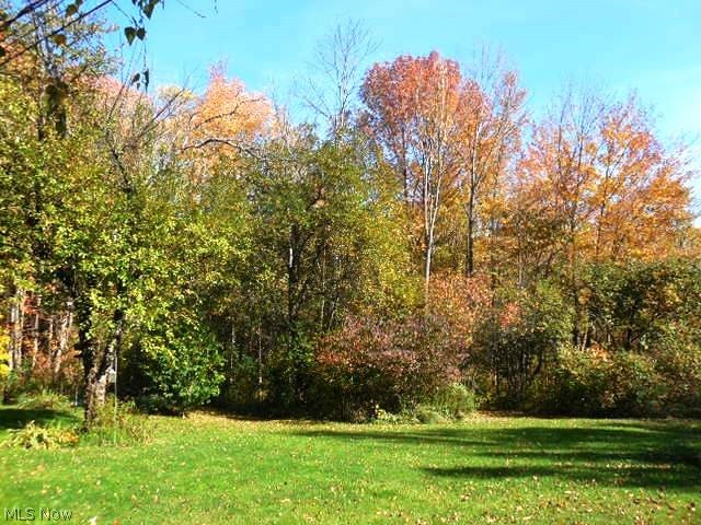 10680 Butternut Road Chesterland, OH 44026 - Photo 16 of 16