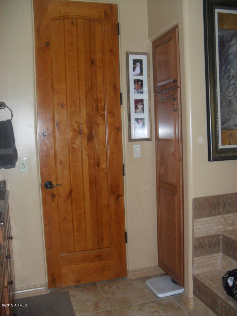 3020 East Ryan Road Gilbert, AZ 85297 - Photo 27 of 69 large linen closet and his and her side