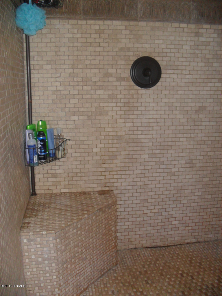 3020 East Ryan Road Gilbert, AZ 85297 - Photo 29 of 69 mstr double shower travertine tile 1