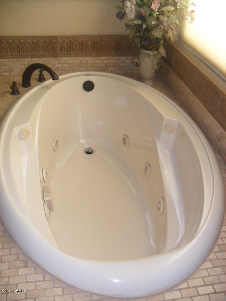 3020 East Ryan Road Gilbert, AZ 85297 - Photo 31 of 69 mstr jet tub