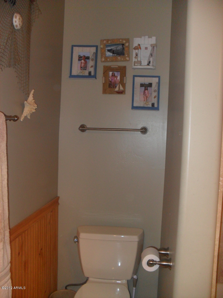 3020 East Ryan Road Gilbert, AZ 85297 - Photo 41 of 69 bathroom 2