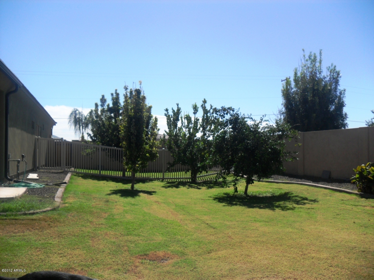 3020 East Ryan Road Gilbert, AZ 85297 - Photo 65 of 69 apple tree, lemon tree, orange tree and