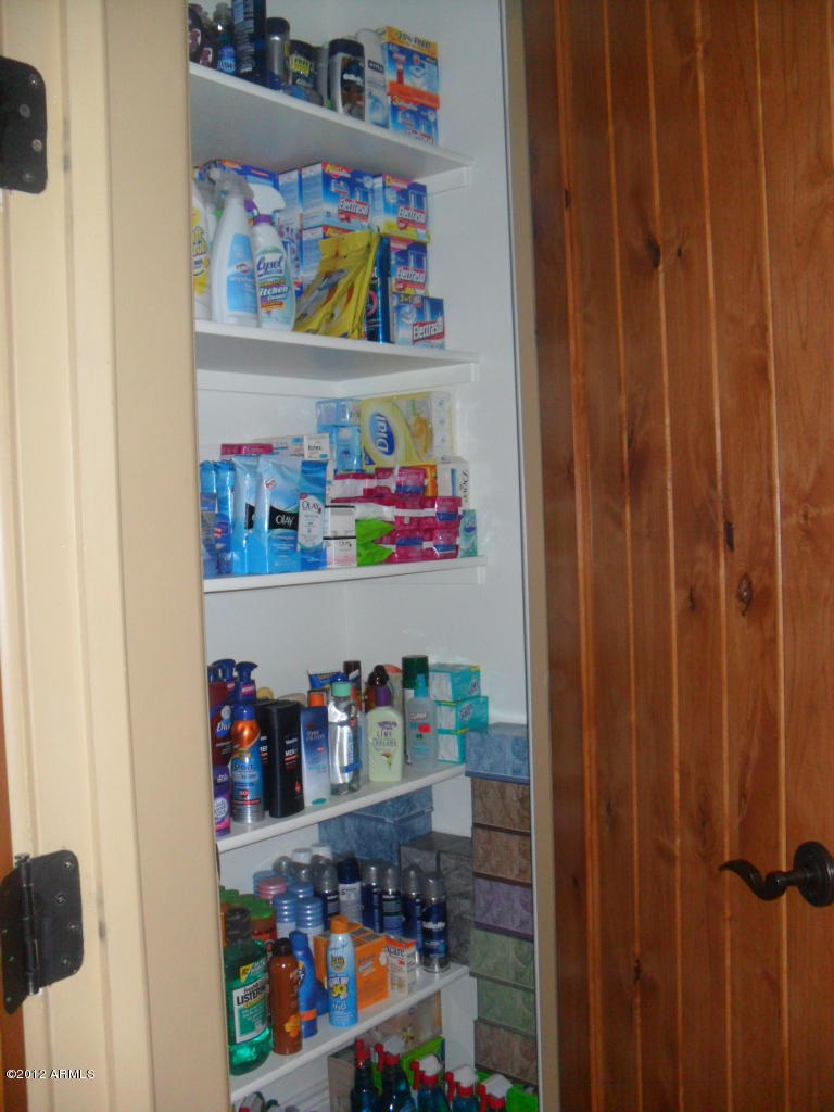 3020 East Ryan Road Gilbert, AZ 85297 - Photo 10 of 69 guest bathroom large storage pantry