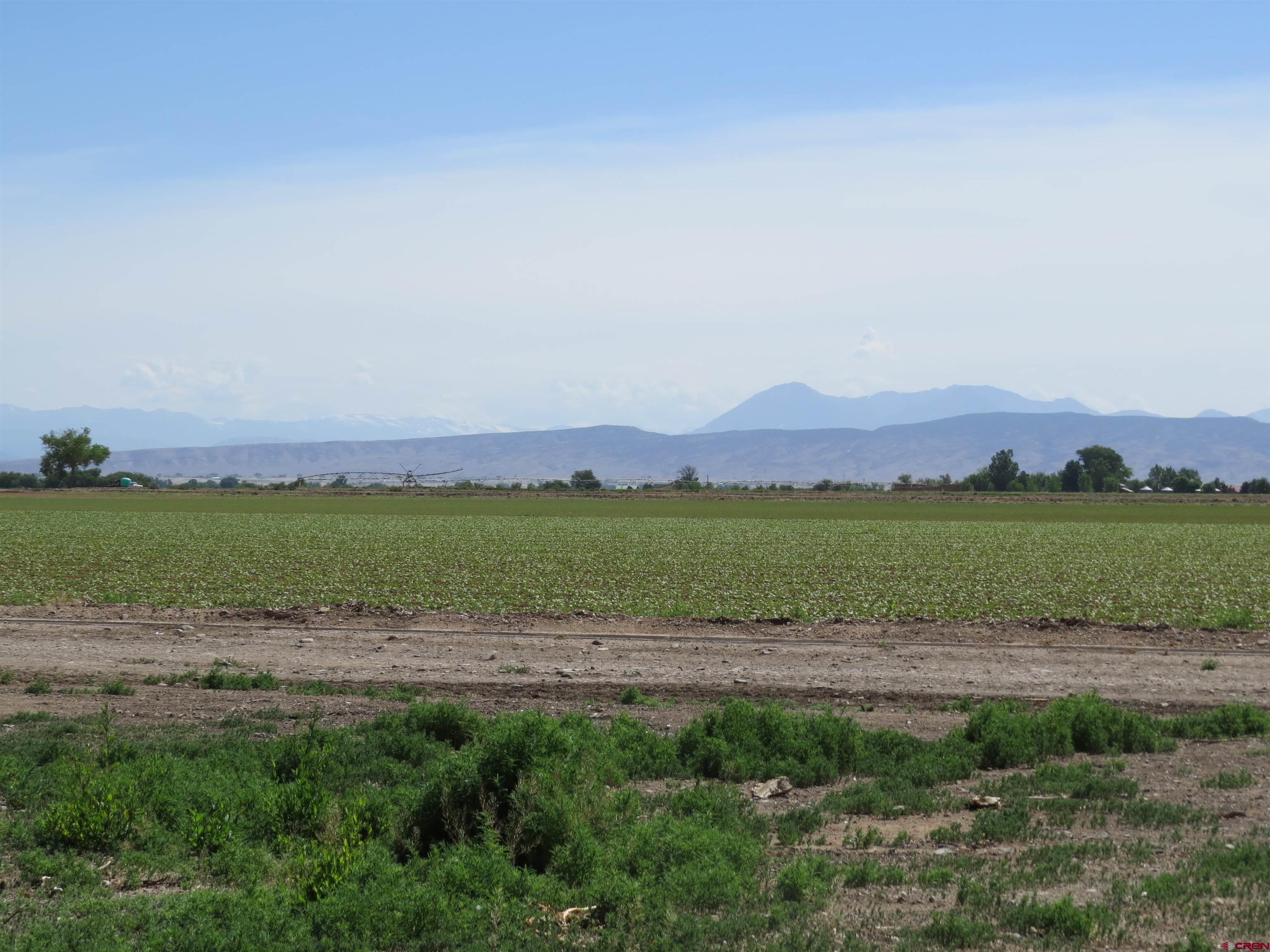 2468 5400th Road Delta, CO 81416 - Photo 27 of 30