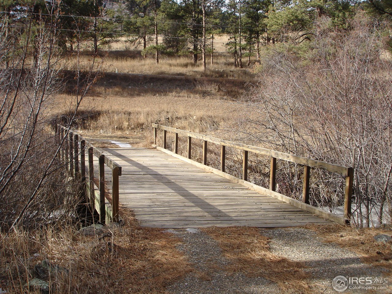 20533 Buckhorn Road Bellvue, CO 80512 - Photo 3 of 18 Bridge