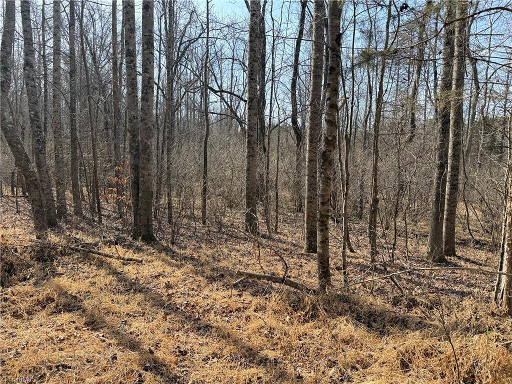 1200 Purcell Road Reidsville, NC 27320 - Photo 39 of 50