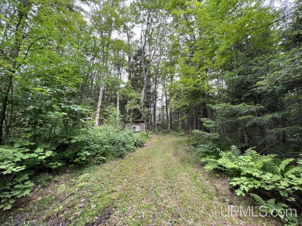 Tbd Tbd Stack Grade Little Lake Rock, MI 49880 - Photo 16 of 45