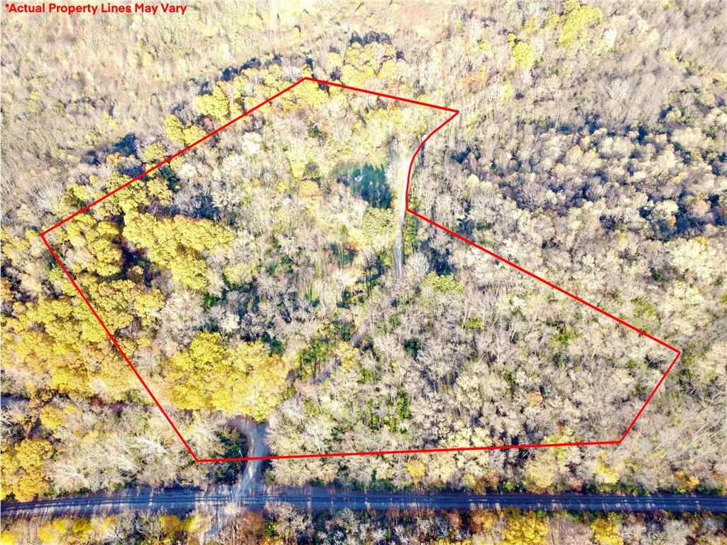 a picture of a tree with a tree