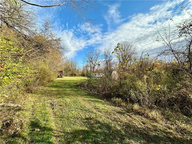 a yard with lots of green space and trees