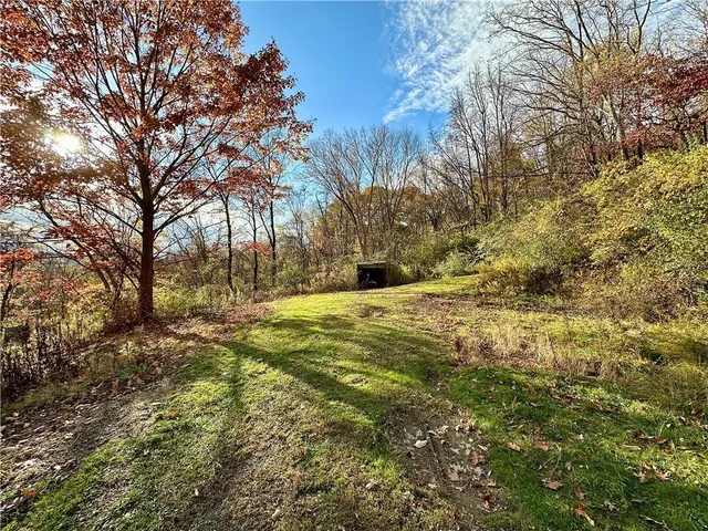 a view of a field with large trees