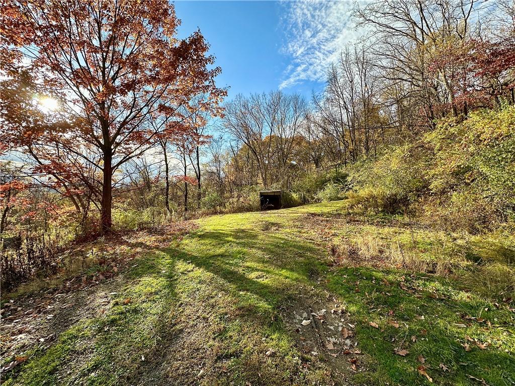 100-300 Tony Ditko Road Wampum, PA 16157 - Photo 13 of 16 a view of yard with trees