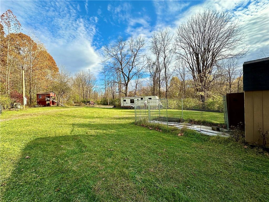 100-300 Tony Ditko Road Wampum, PA 16157 - Photo 15 of 16 a yard with lots of green space and trees