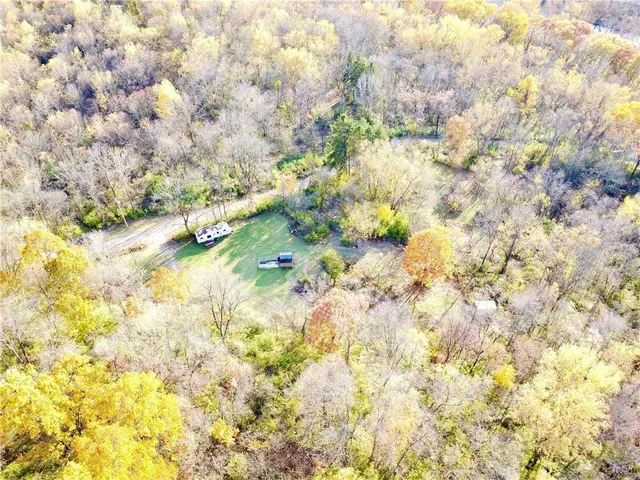a close up of a plant in a garden
