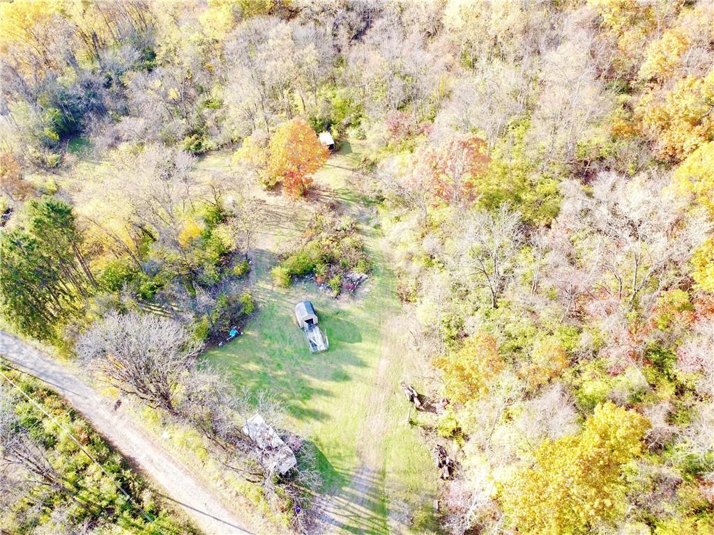100-300 Tony Ditko Road Wampum, PA 16157 - Photo 5 of 16 a view of a yard with flower plants
