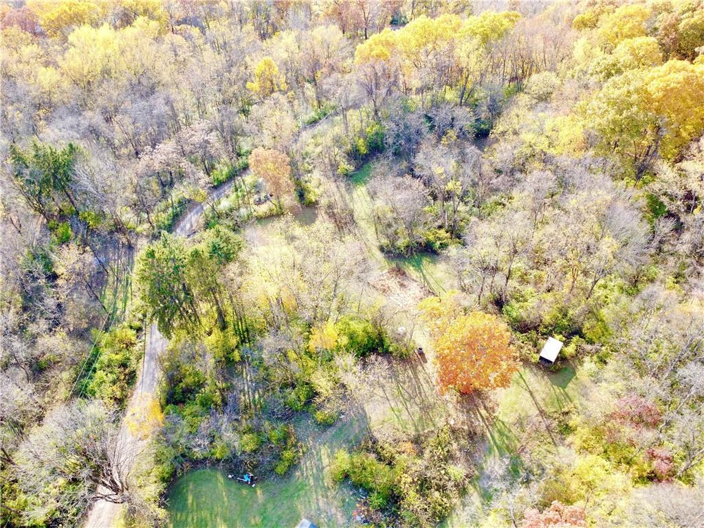 100-300 Tony Ditko Road Wampum, PA 16157 - Photo 6 of 16 a view of a tree