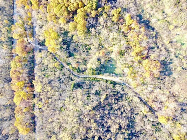 a view of a golf ground with large trees