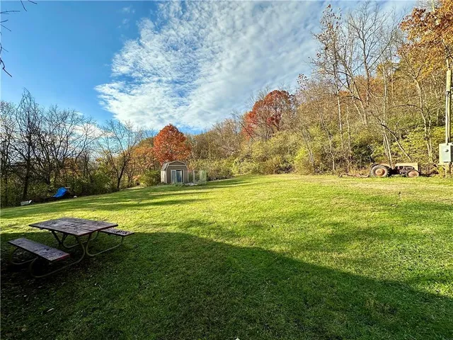 a view of yard with trees