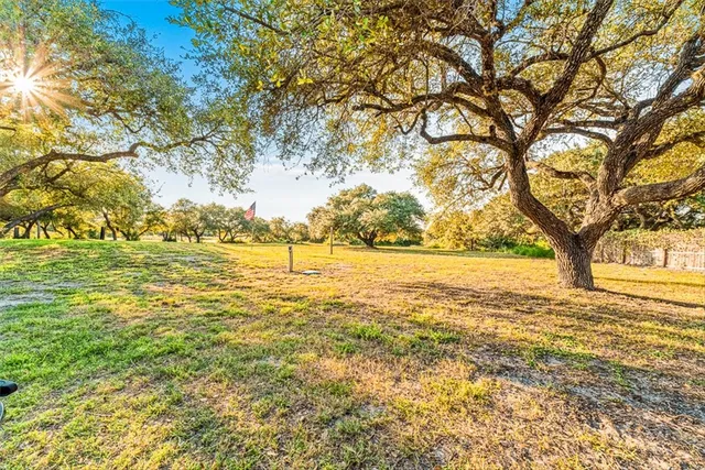 a view of yard with trees