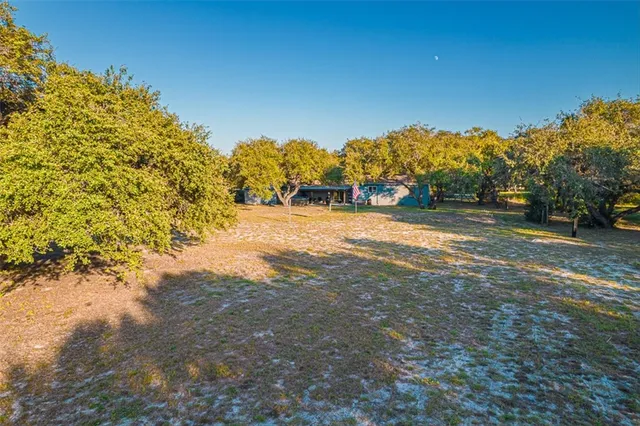 a view of a yard with a tree
