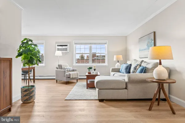 a living room with furniture and a potted plant