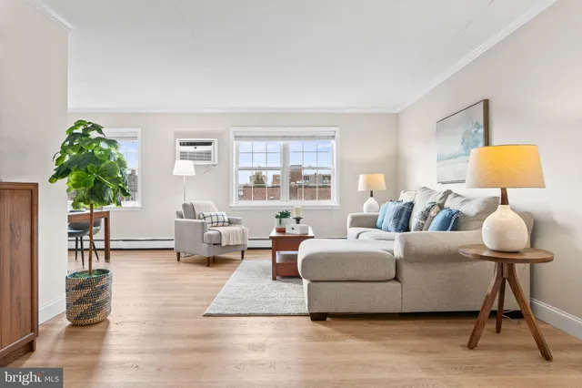 a living room with furniture and a potted plant