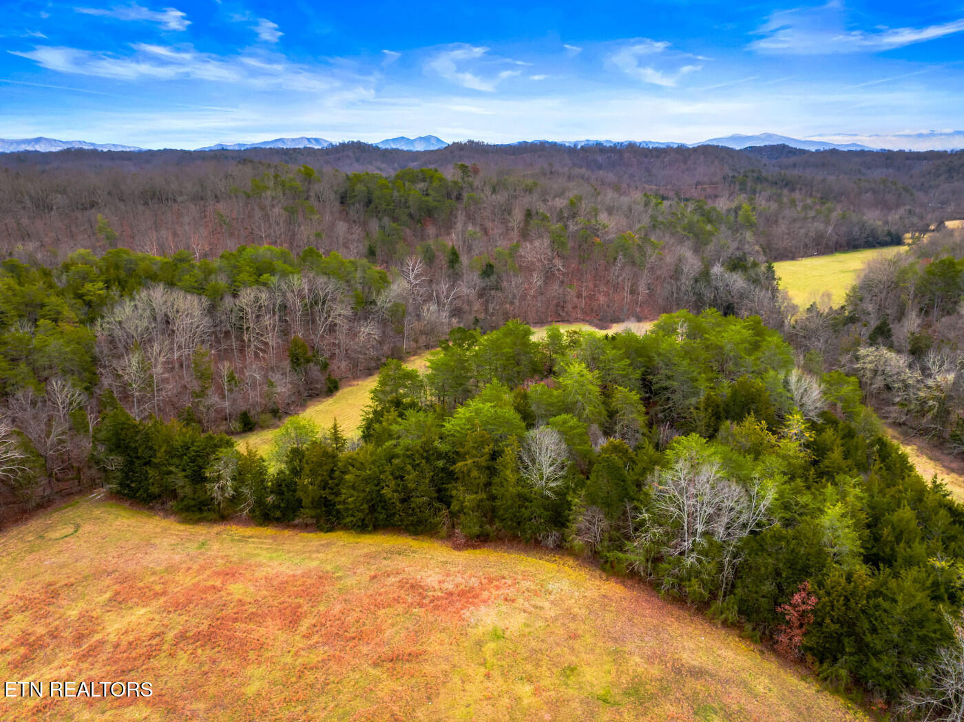 Lot 2 Lonesome Pine Road Bybee, TN 37713 - Photo 4 of 8 track 2 7