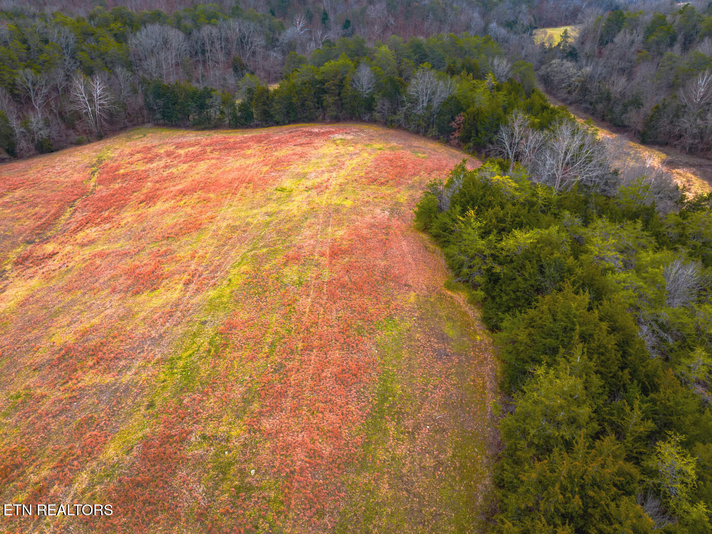 Lot 2 Lonesome Pine Road Bybee, TN 37713 - Photo 5 of 8 track 2 6