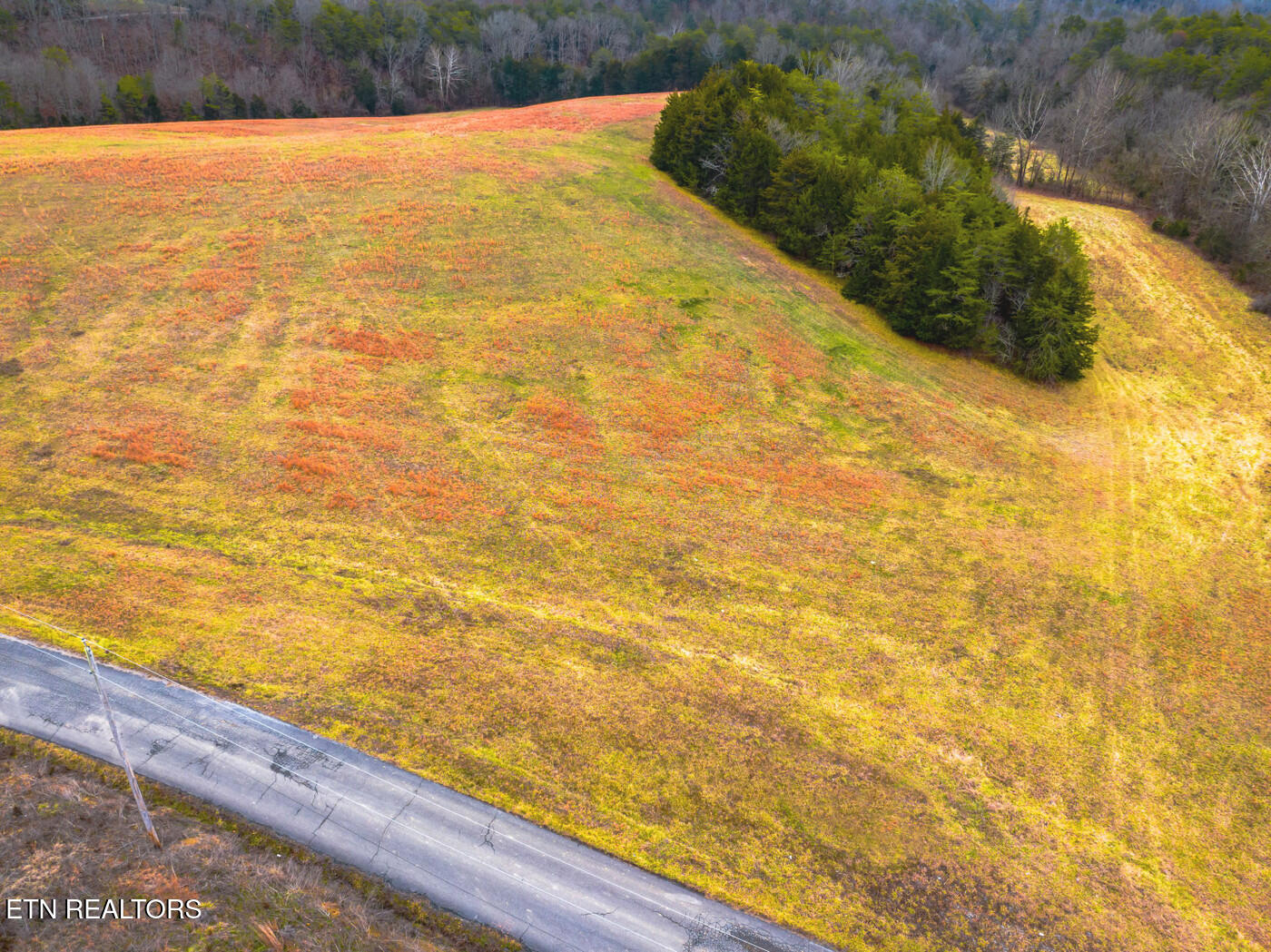 Lot 2 Lonesome Pine Road Bybee, TN 37713 - Photo 8 of 8 track 2 3