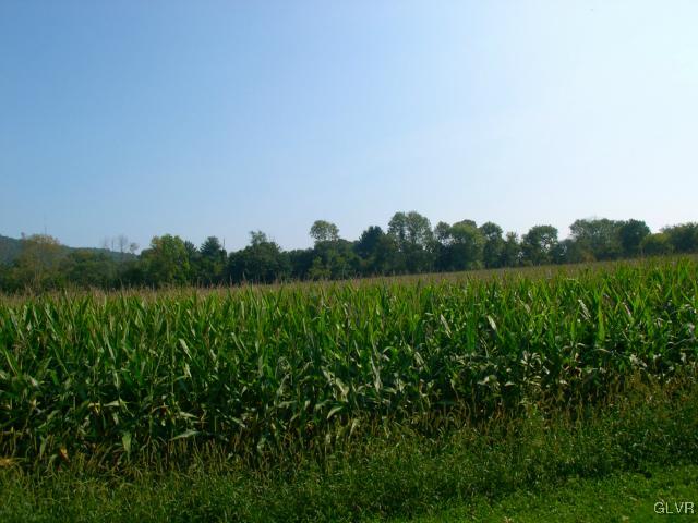 4530 Vera Cruz Road Center Valley, PA 18034 - Photo 36 of 41 Gallery Image 36