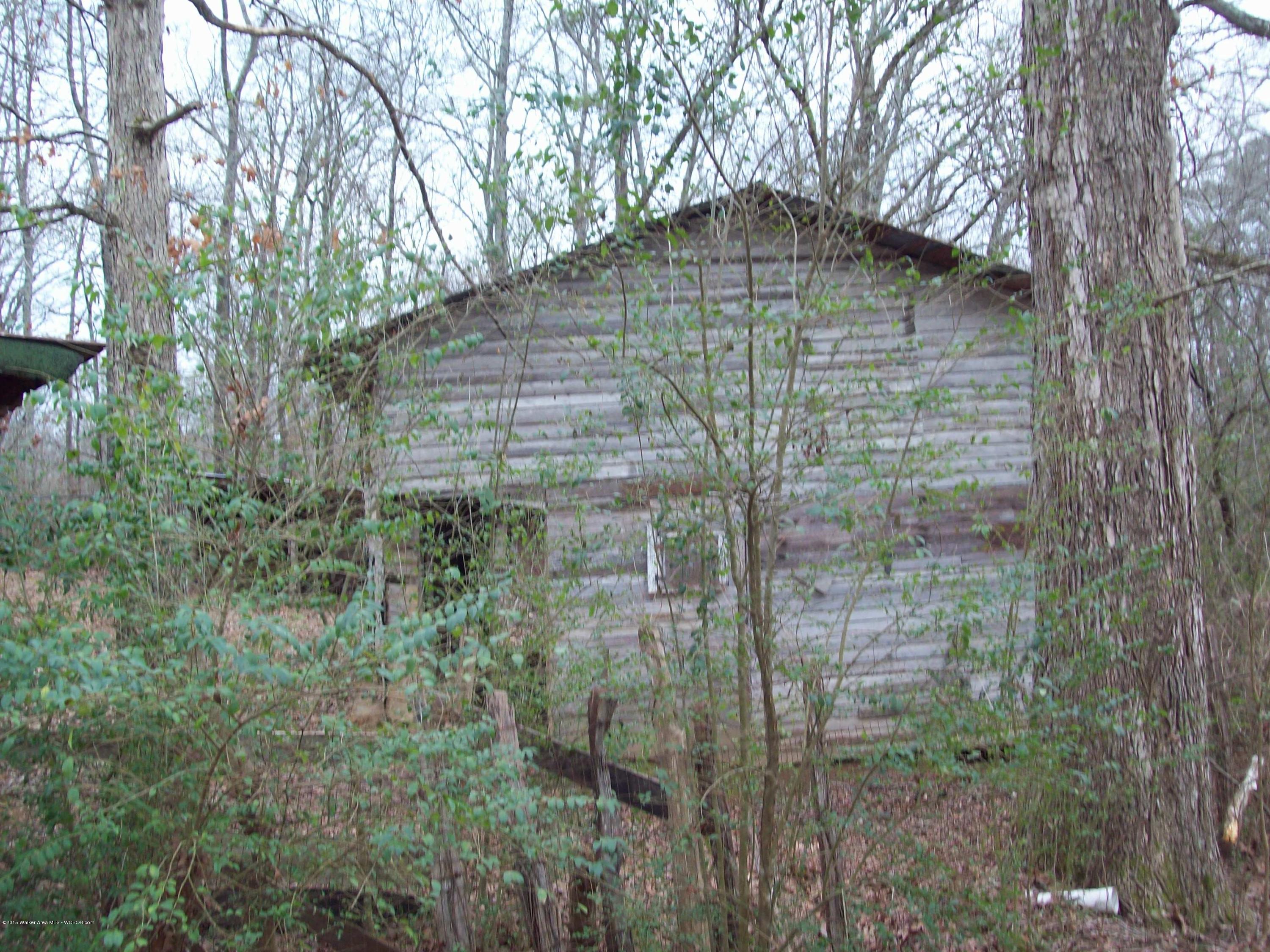 284 Hubbard Loop Jasper, AL 35501 - Photo 5 of 21 Gallery Image 5
