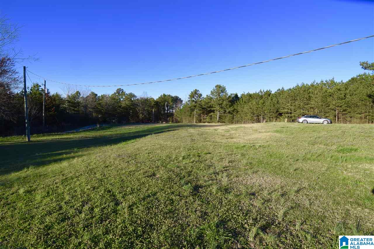 377 Owen Road Springville, AL 35146 - Photo 14 of 17 Gallery Image 14