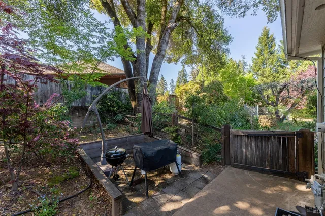 a view of a backyard with table and chairs potted plants and a large tree