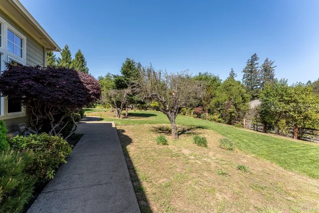 a view of a park with large trees