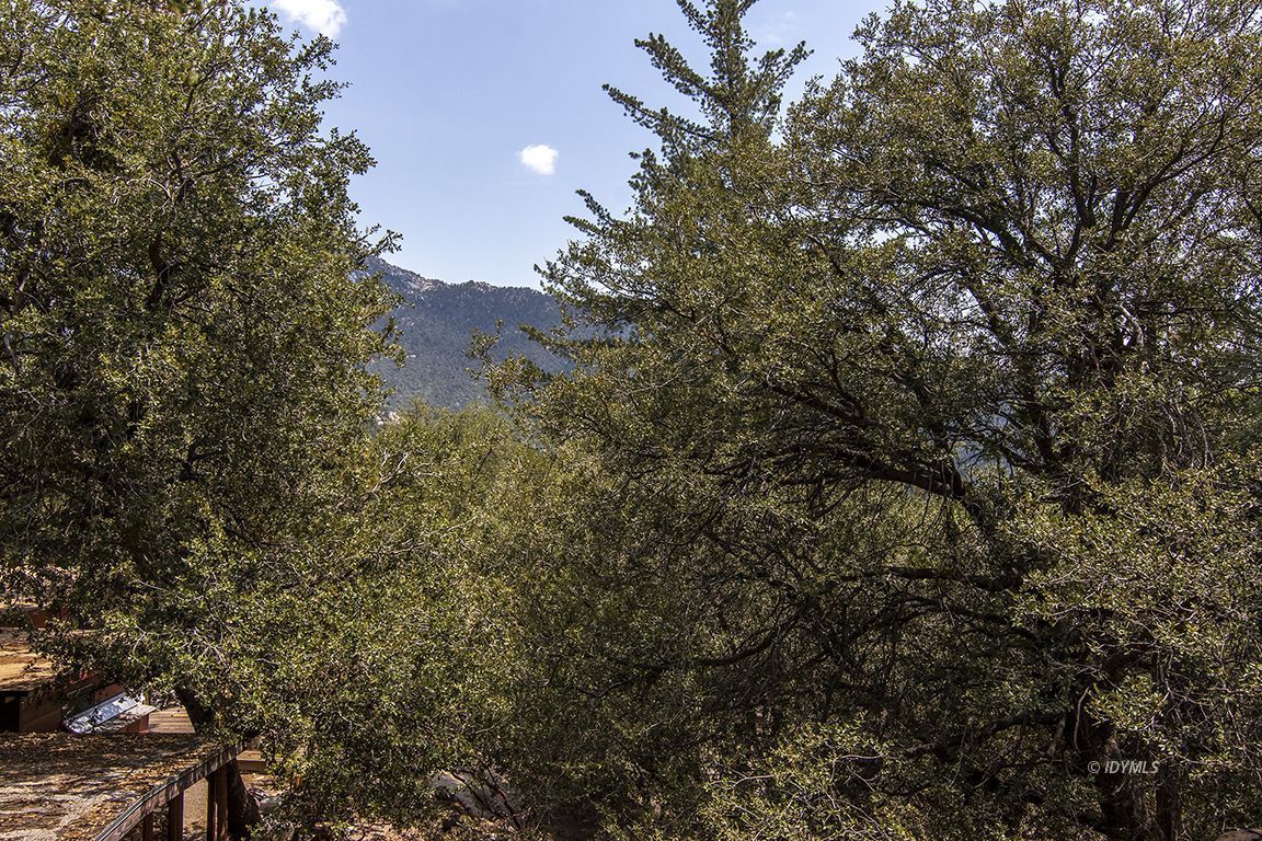 25335 Foster Lake Road Idyllwild, CA 92549 - Photo 33 of 35 Untitled