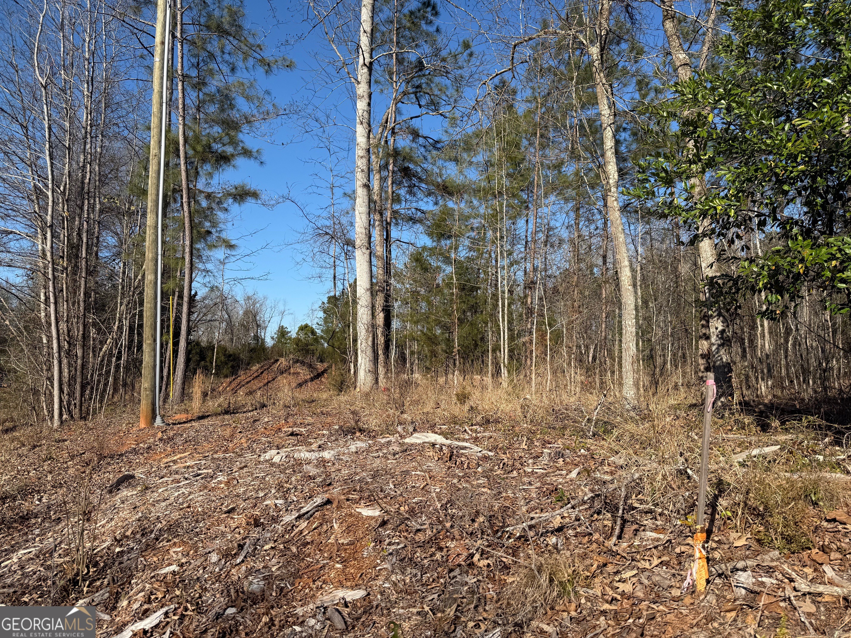641 Dennis Station Road Southwest Eatonton, GA 31024 - Photo 4 of 13 a view of a yard with trees