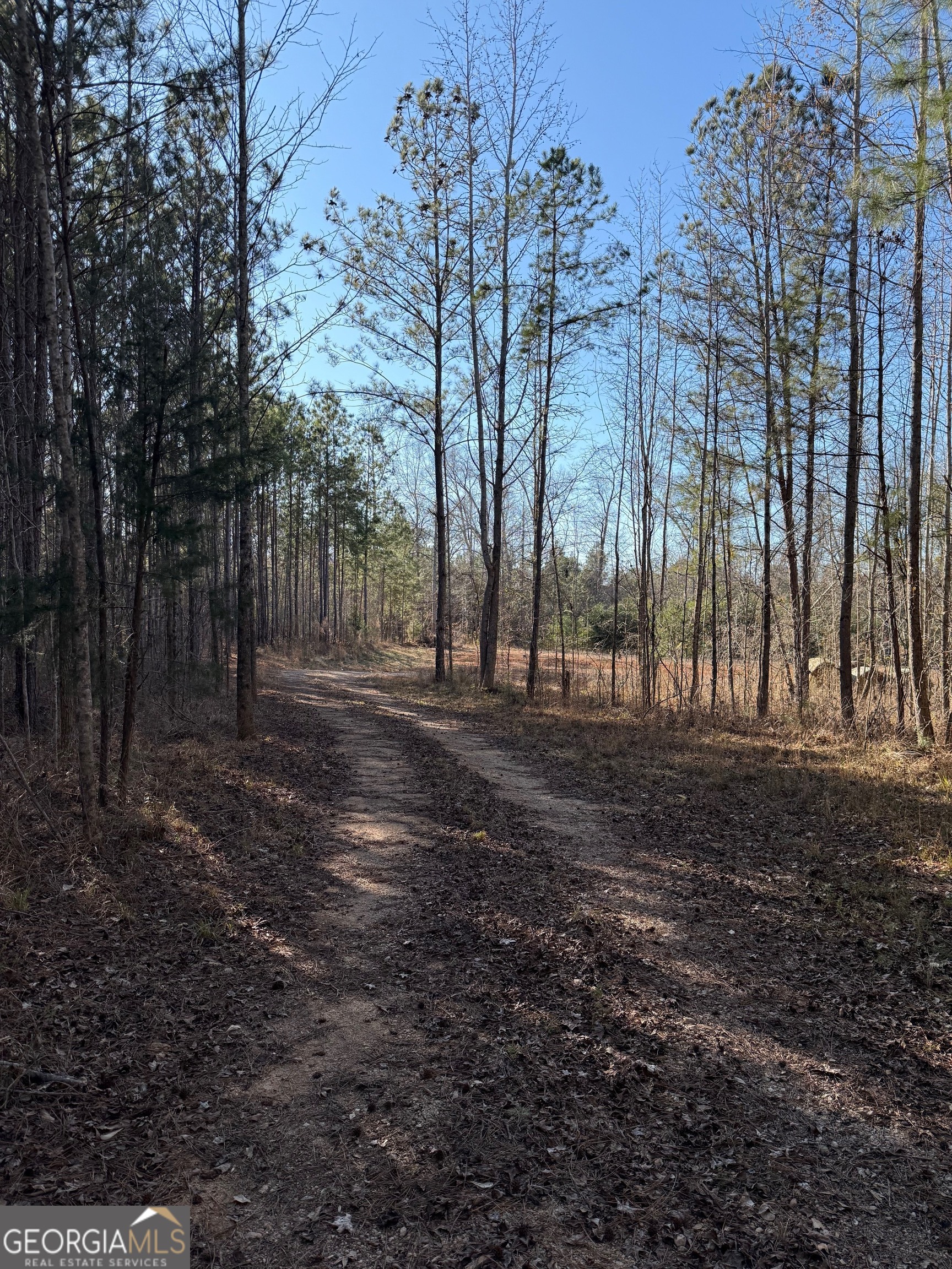 641 Dennis Station Road Southwest Eatonton, GA 31024 - Photo 6 of 13 a view of outdoor space with trees