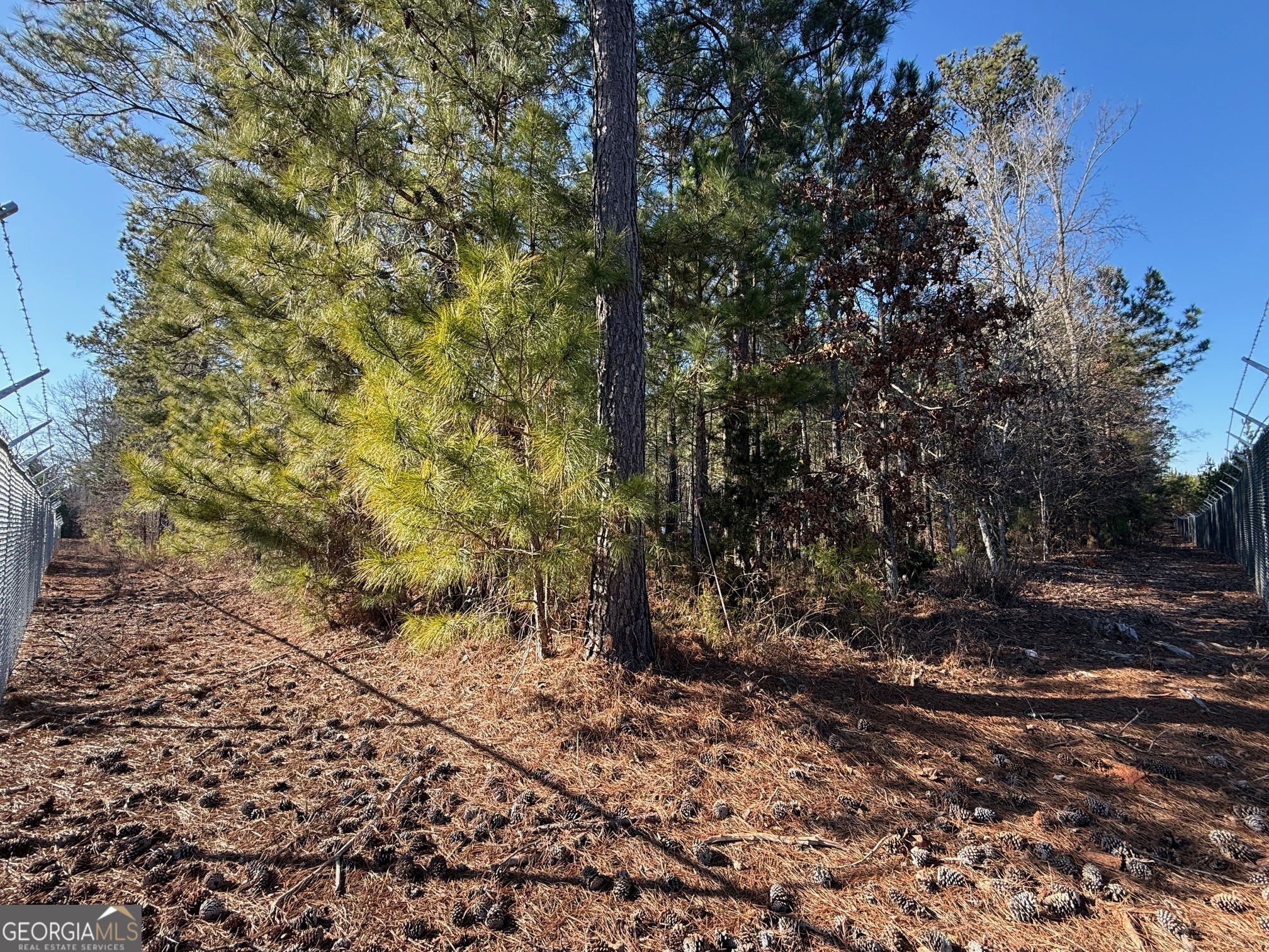641 Dennis Station Road Southwest Eatonton, GA 31024 - Photo 7 of 13 a view of a yard with plants and trees