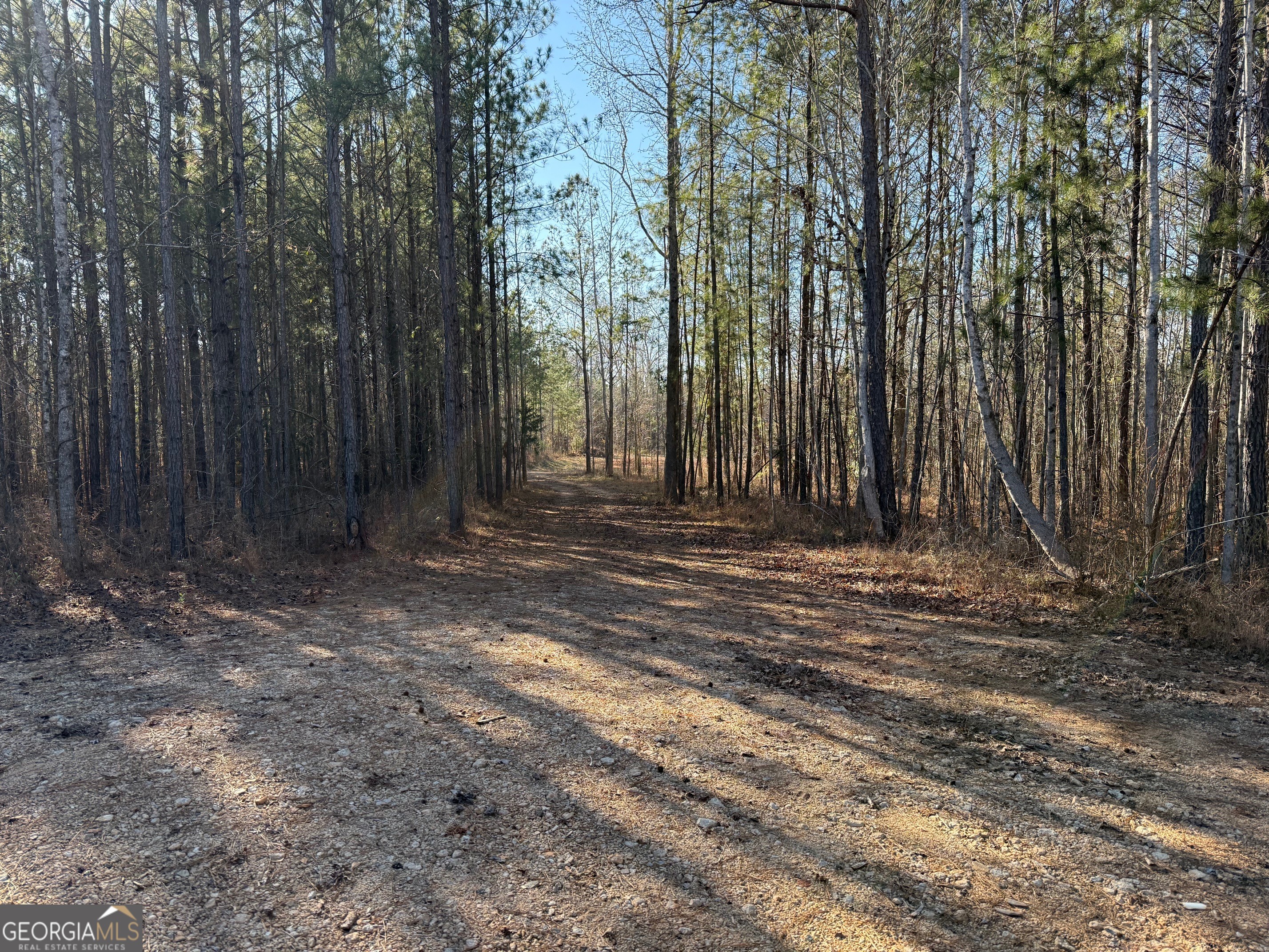 641 Dennis Station Road Southwest Eatonton, GA 31024 - Photo 10 of 13 a view of outdoor space with deck