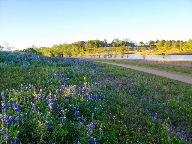 a green field with lots of trees in it